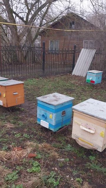 всех почистили