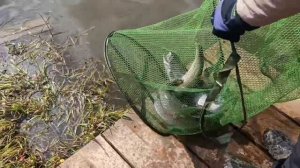 VID_20260405_131849_801