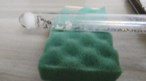 Жизнь муравьёв. 10 серия.