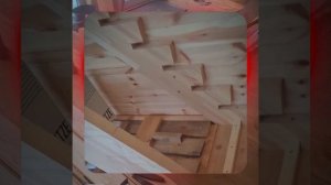 1000055113.mp4 (Собака наблюдает за устройством лестницы на 2-ой этаж в доме А-фрейм)