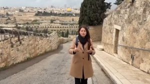 ТРИУМФАЛЬНЫЙ ВХОД ИИСУСА! /Израиль с Алин/