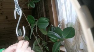 Плету Гамак! Продолжение! Урок №5! Мастер-класс! Макраме! 🕷️🕸️