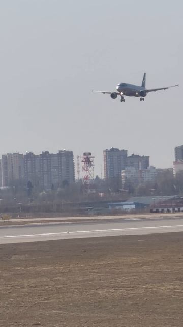 Вот это птица!!!