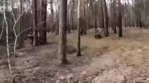 Боевики иностранного легиона ведут бой с ЧВК "Вагнер"