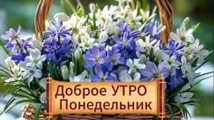 Доброе утро понедельника! Красивые открытки бесплатно ☕