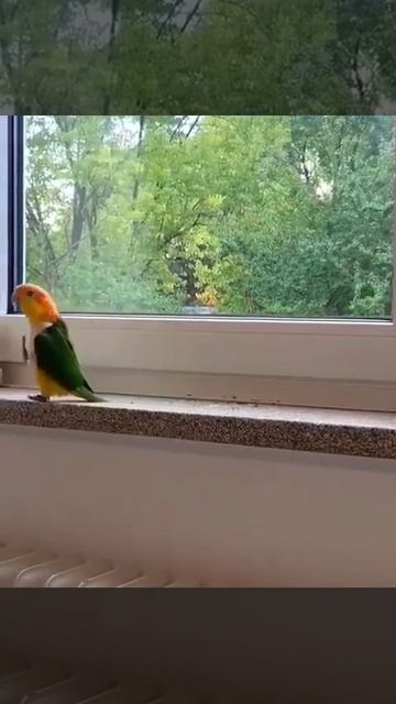 Кеша на посту) Подписываемся;)