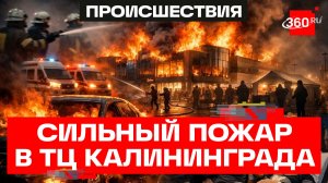 Трое пострадали при пожаре в ТЦ Калининграда. Кадры ЧП