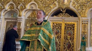 Проповедь иерея Константина Колыганова в Неделю 6-ю, ваий