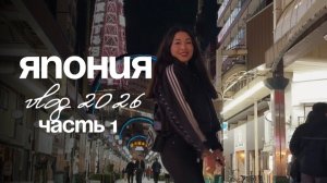 Япония 2026: поездка, которая многое во мне изменила