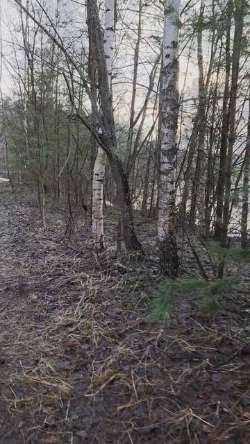 Разлив реки