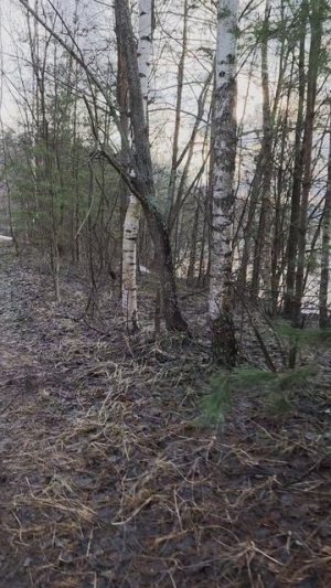 Разлив реки