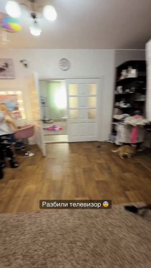 Разбили телевизор 📺