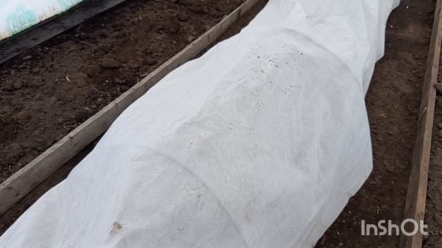 //188// Взялась за стрижку собачки.Вечером съездили в город.