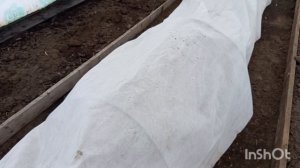 //188// Взялась за стрижку собачки.Вечером съездили в город.