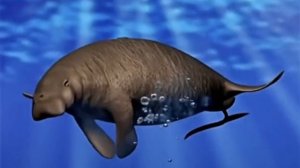 Видео о вымерших животных: Птица Додо, Стеллерова Корова, Зебра Квагга.