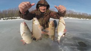 Рыбалка в Сибири на Оби, часть 99. Клёвый день.