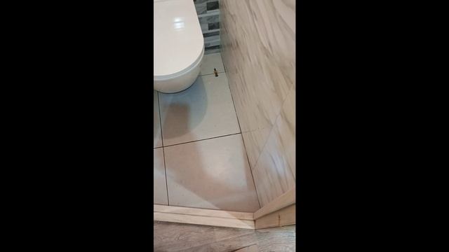 Ремонт ванной и туалета вторичка и кривые стены