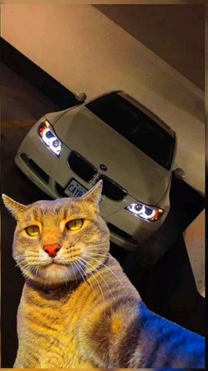 продолжение *к меня сестра*