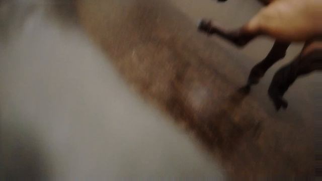 Шляйх сериал магическая школа 1 серия 1сезона 1урок