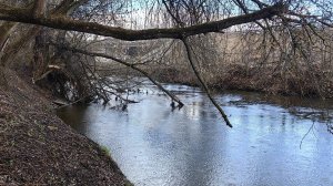 Обстановка на реке Пехорка на 05-04-2026.