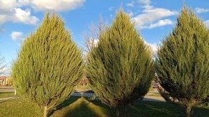 Прогулка по парку 05-04-2026