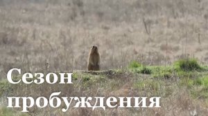 В Луганском заповеднике Меловского района начался сезон пробуждения / События недели