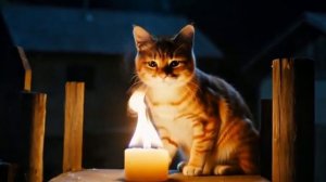 🤣POV: Я думаю что для вас ещё снять!🤣