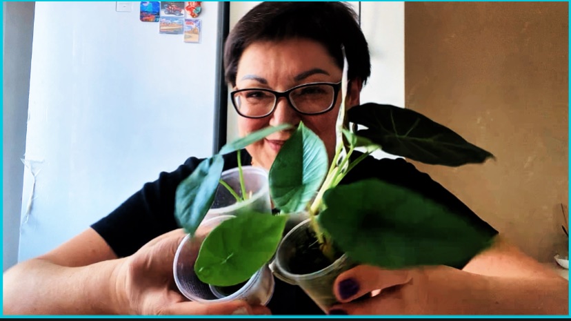 Каша с фаршем и авакадой и мои новые АЛОКАЗИИ/обзор покупок и шикарный мукбанг