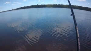 Ловля фидерной снастью отдых на рыбалке [get.gt]