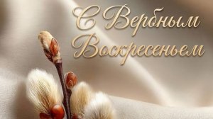 С Вербным воскресеньем всех 🕊️🕊️🕊️