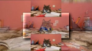 (YTPMV) Если бы котики ходили в школу - новый учитель географии Scan