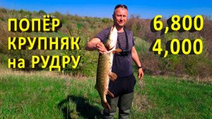 🔥 Все щуки ЖРУТ РУДРУ... Как попасть на ЖОР КРУПНОЙ ЩУКИ? Идеальный воблер на щуку O.S.P. RUDRA 🔥