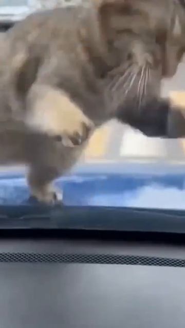 1000001219 ₽!(__;₽(_:(_;_+_;_(_;_(_;_$✓$×¢✓•√$^|÷|^$×|$°$°|×|{$✓$§$=$§$!3+3_-₽(4+_-₽(₽-₽(3&₽(_