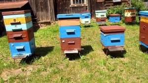 Ослабленные семьи месяц спустя