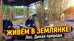 ЖИЗНЬ В ЛЕСУ: 24 Часа в Землянке. Дикая природа, баня и СТРОЙКА