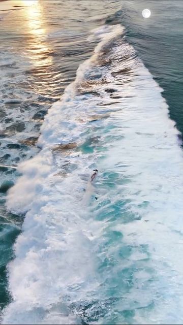 Сёрфинг на закате: идеальные волны #сёрфинг #закат #море