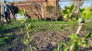 Вербное воскресенье. Жизнь пенсионеров.