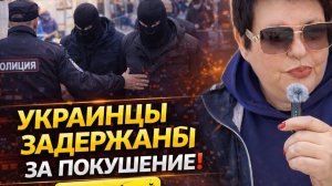 Зачем Шереметьево нужно на самом деле? Кто в России чужие среди своих? #россия #новости #шереметьево