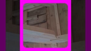 1000055107.mp4 (Собака наблюдает за устройством лестницы на 2-ой этаж в доме А-фрейм)