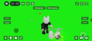 Играю в роблокс