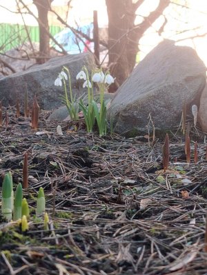 Просто живите