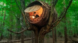 Строю Домик ГНЕЗДО на дереве в стиле бушкрафт, убежище для выживания, лесная хижина