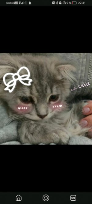 тутор на косметику