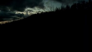 Весенняя охота на вальдшнепа