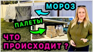 Новые палеты для распаковки. ШокК нам пришли морозы Продали машину. Наш быт и новости. США.Флорида