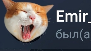 Разоблачение на Эмира I  нацист I страный I