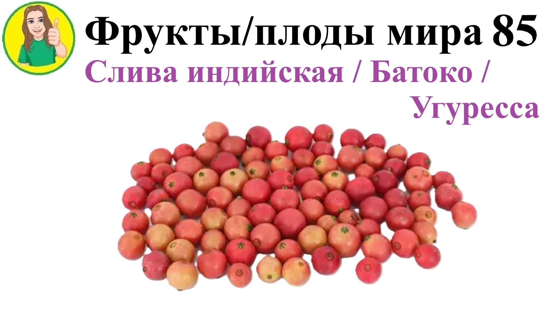 Фрукты – плоды мира 85 – Слива индийская или губернаторская или Батоко или Угуресса Фрукторианство