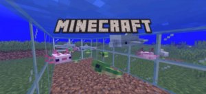 Играю в Майнкрафт