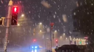 у видиво тэ налэн запэндо чекаи и описания