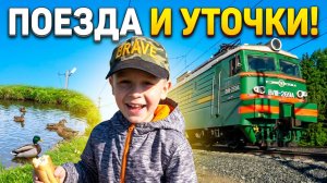 Макс смотрит поезда и кормит уточек видео для детей